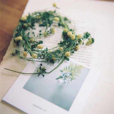 2023年香港资料精准